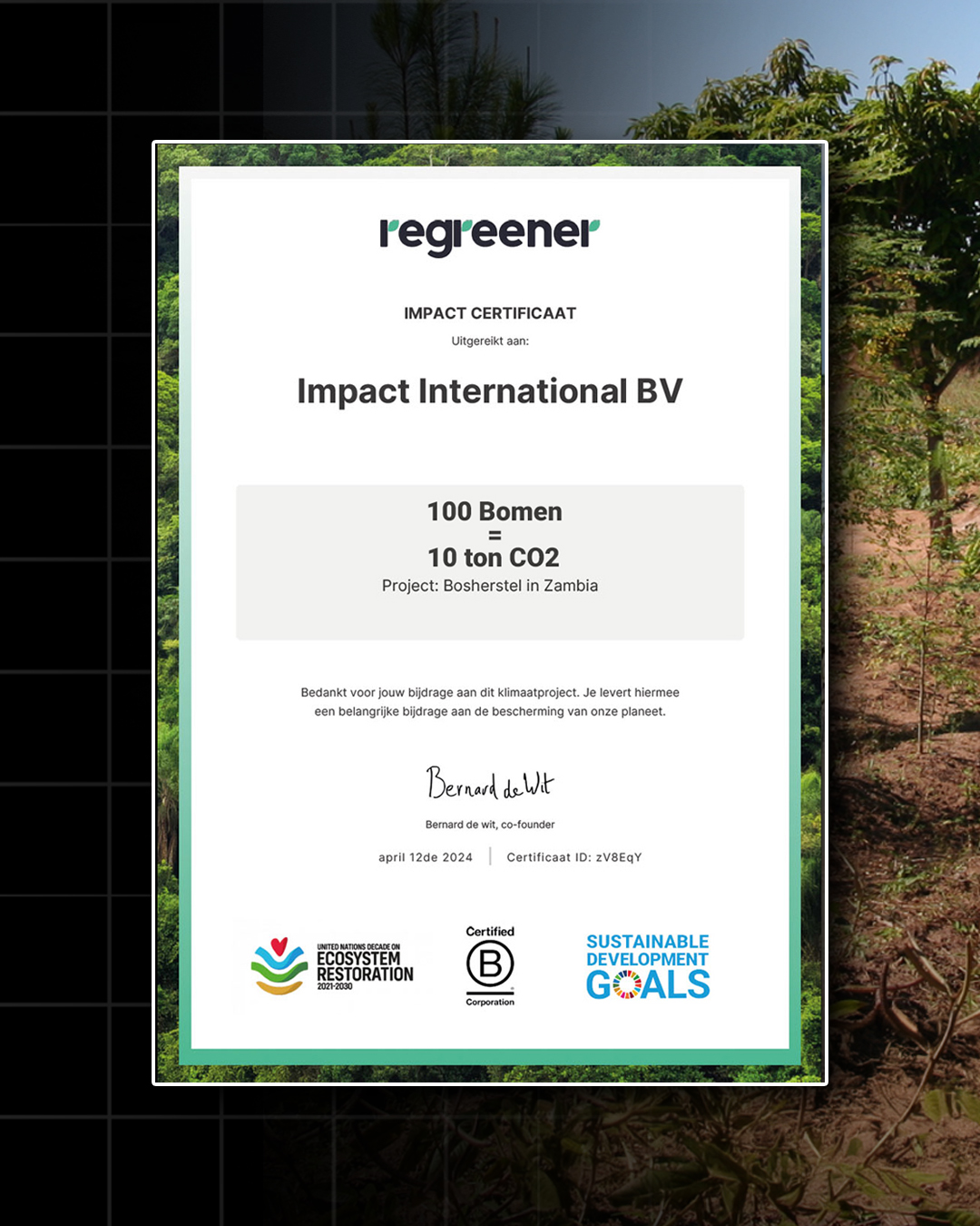 Impact insore_regreener 04