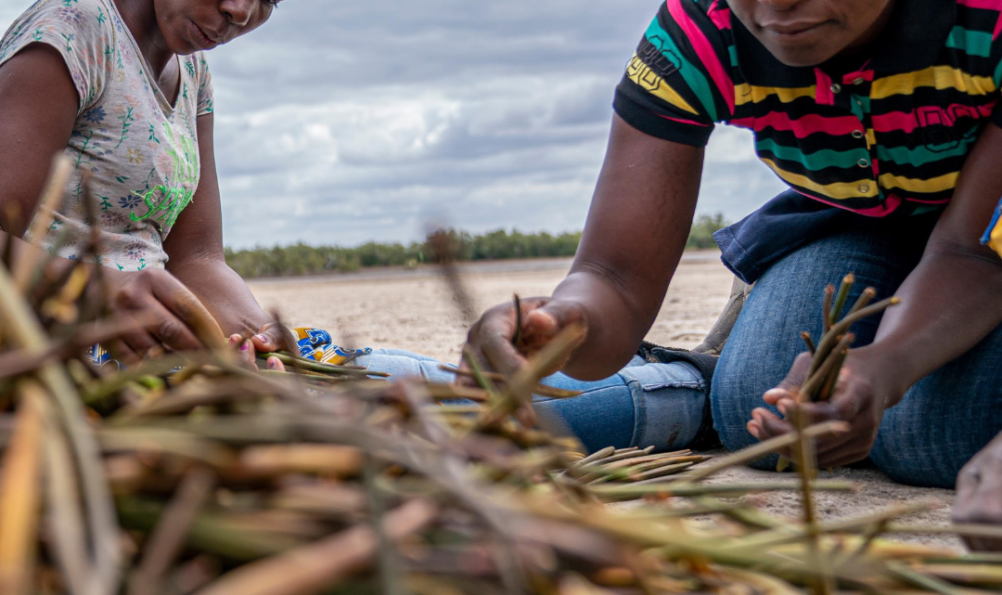 Mozambique – Tree Planting